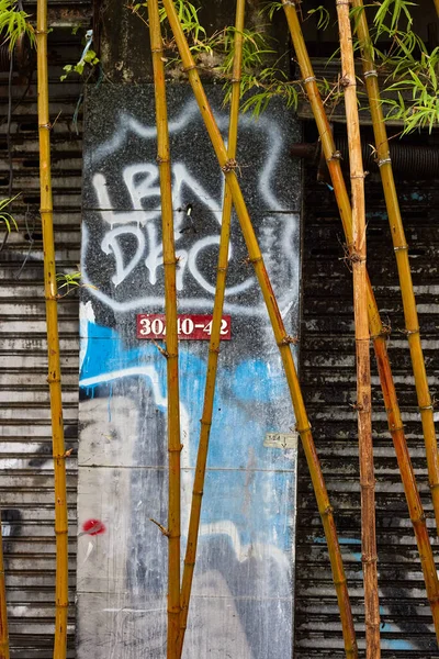 Beton bir duvar ve bambuya renkli grafiti.