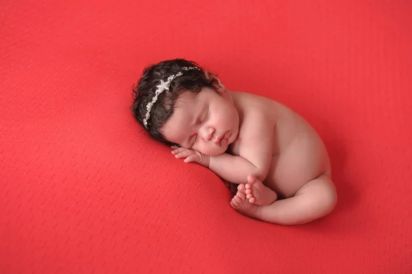 Newborn Baby Girl on a Coral Colored Background — Stock Photo, Image