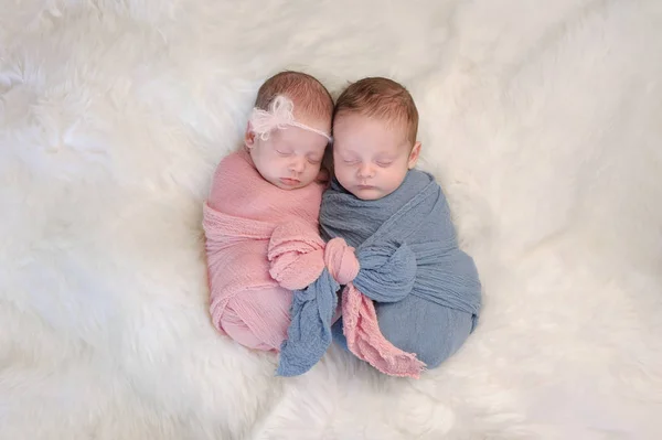 二卵性双生児の赤ん坊の弟と妹 — ストック写真