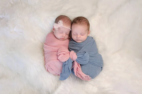 Fraterno gemello bambino fratello e sorella — Foto Stock