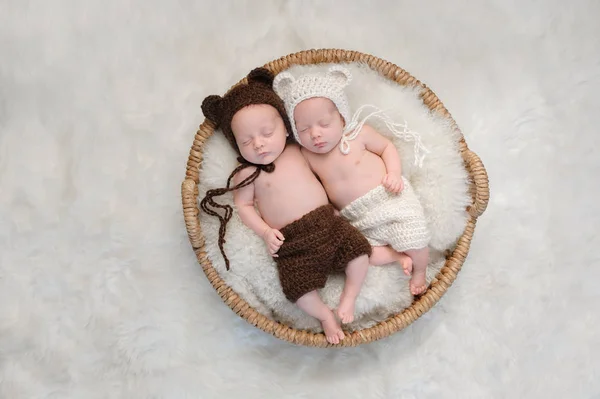 Hermana y hermano gemelo fraternal en sombreros de oso —  Fotos de Stock