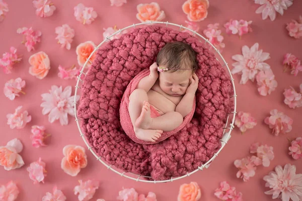 Menina recém-nascida dormindo na cesta de arame — Fotografia de Stock