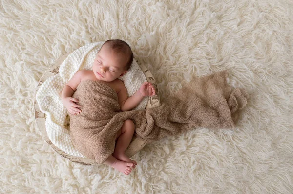 Nowonarodzonego chłopca spanie w misce — Zdjęcie stockowe
