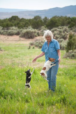 Yaşlı kadın onun köpekleri bir alana