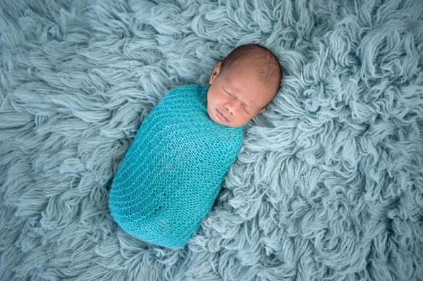 Swaddled, спальний, новонароджений хлопчик — стокове фото