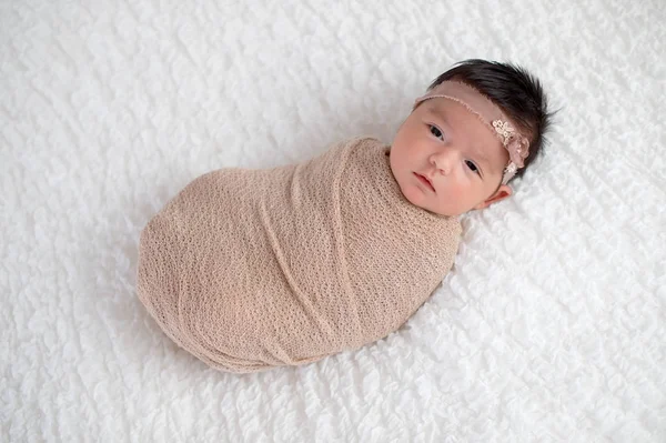 Bebê menina envolto em um bege Swaddle — Fotografia de Stock