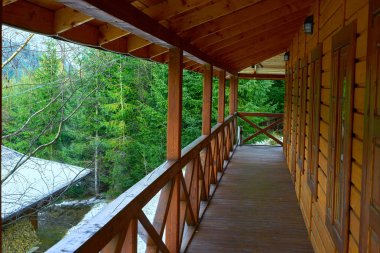 iğne yapraklı orman evde