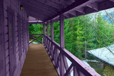 iğne yapraklı orman evde