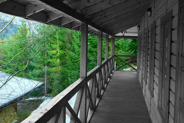 iğne yapraklı orman evde