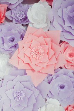 Kağıt Çiçekler