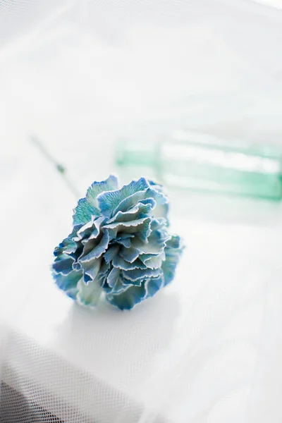 Blue carnation flower in vintage glass vase