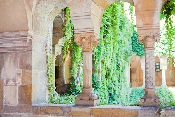 Beaux Piliers Médiévaux Ornementés Dans Vieux Château — Photo