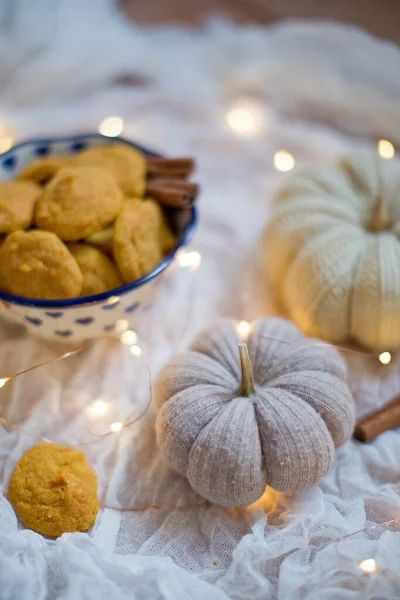 Tasty Pumpkin Cookies Bowl Cinnamon Pumpkin Decorations Lights — Stock Photo, Image