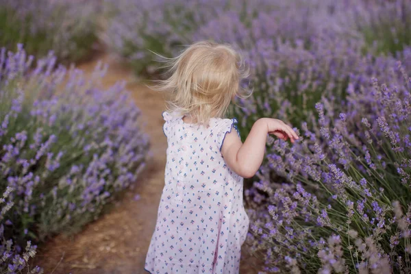 ラベンダー畑を走っている少女 紫のラベンダー — ストック写真