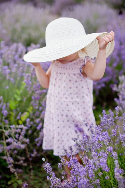 Маленькая Девочка Бежит Лавандовом Поле Пурпурный Цветок Лаванды — стоковое фото
