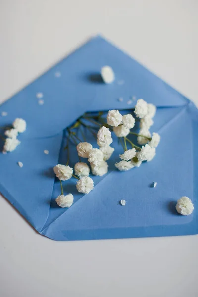Envelope Azul Com Branco Flores Gypsophila Dentro Fundo Branco — Fotografia de Stock