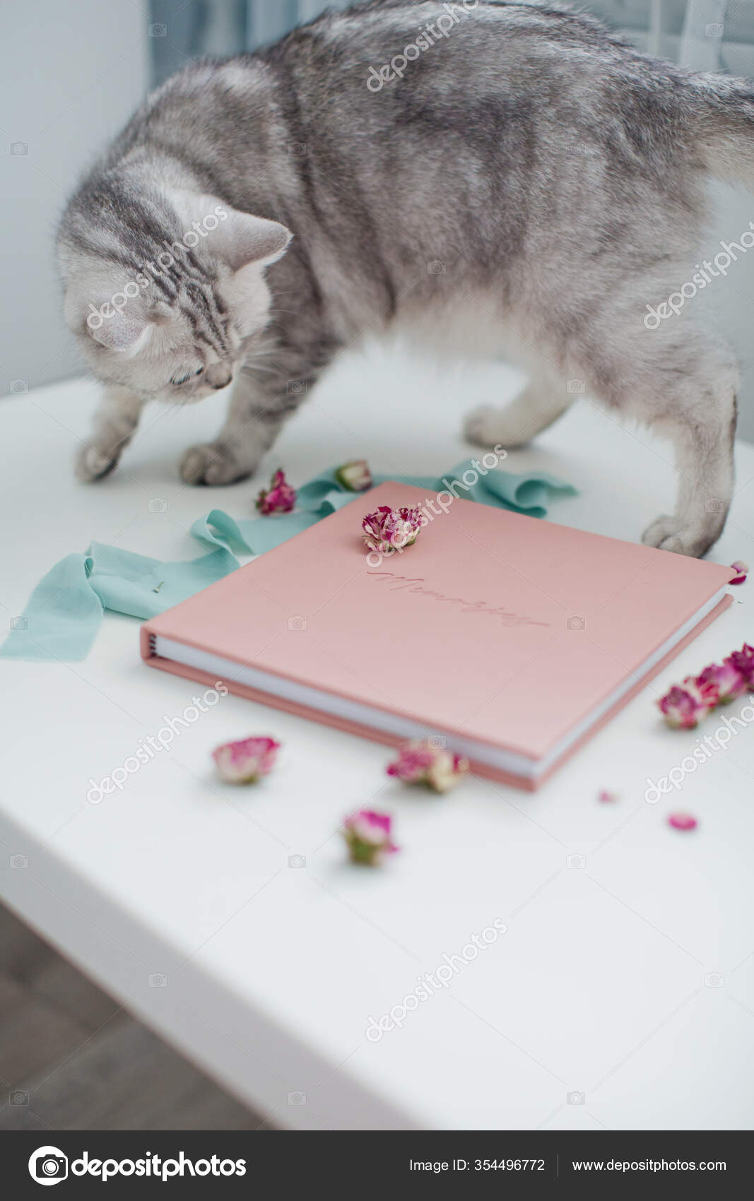 Gri Kedi Pembe Deri Kitap Memories Yazılı Fotoğraflar Için Albüm Stok