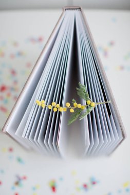 Mimoza dallı fotoğraflar için bej rengi kadife kitap ya da albüm. Renkli konfetilerin arka planı üzerine kitap
