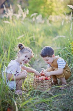 Elma sepetli küçük bir oğlan ve kız. Tatlı erkek ve kız kardeşler.