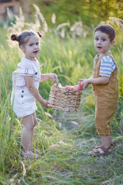 Niño Niña Con Canasta Manzanas Lindo Hermano Hermana — Foto de Stock