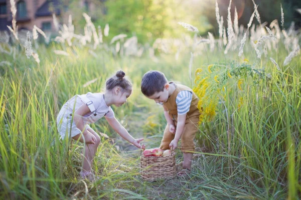 リンゴのバスケットを持つ小さな男の子と女の子 かわいい弟と妹 — ストック写真