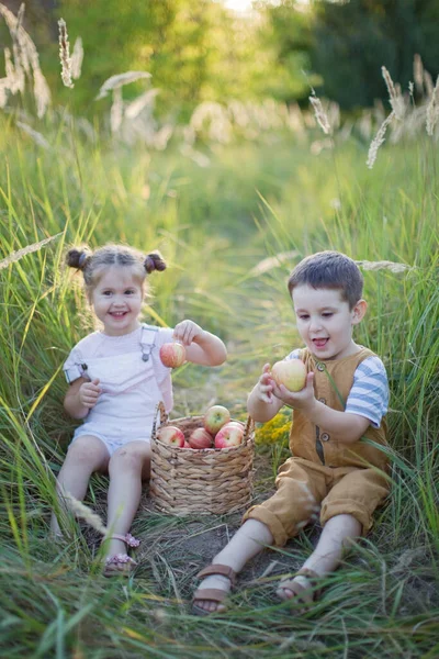 リンゴのバスケットを持つ小さな男の子と女の子 かわいい弟と妹 — ストック写真