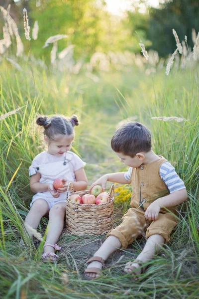 リンゴのバスケットを持つ小さな男の子と女の子 かわいい弟と妹 — ストック写真