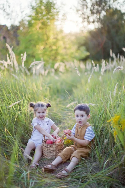 リンゴのバスケットを持つ小さな男の子と女の子 かわいい弟と妹 — ストック写真