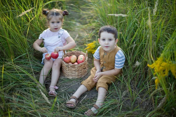 Petit Garçon Petite Fille Avec Panier Pommes Frère Sœur Mignons — Photo