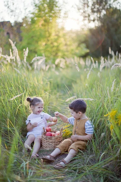 リンゴのバスケットを持つ小さな男の子と女の子 かわいい弟と妹 — ストック写真