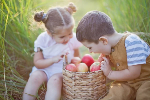 リンゴのバスケットを持つ小さな男の子と女の子 かわいい弟と妹 — ストック写真