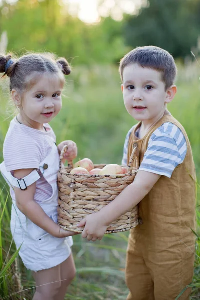 リンゴのバスケットを持つ小さな男の子と女の子 かわいい弟と妹 — ストック写真