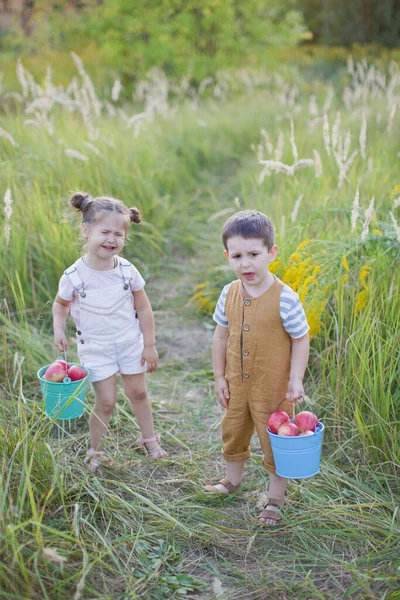 リンゴの入った小さな男の子と女の子 かわいい弟と妹 — ストック写真