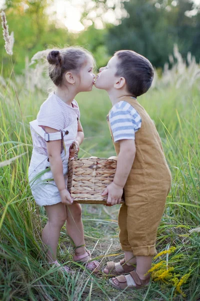 リンゴのバスケットを持つ小さな男の子と女の子 かわいい弟と妹 — ストック写真