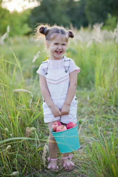 Mały Kaukaski Dziewczyna Mały Wiadro Jabłka — Zdjęcie stockowe