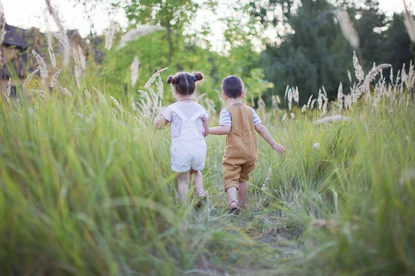 夕暮れ時には男の子と女の子が畑で遊んでいます かわいい弟と妹 — ストック写真