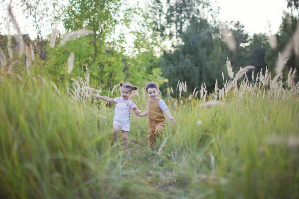 Chłopiec Dziewczynka Bawią Się Polu Zachodzie Słońca Cute Brat Siostra — Zdjęcie stockowe