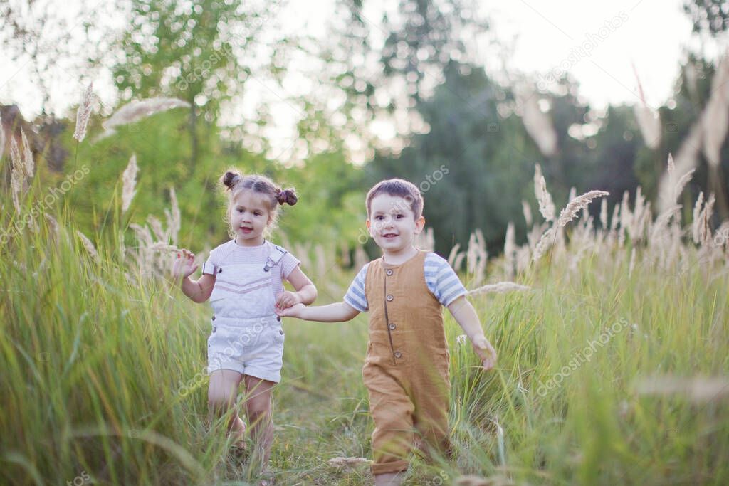 Little boy and girl play in the field at sunset. Cute brother and sister