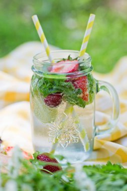 Limonlu, çilekli ve nane yapraklı bir kavanoz limonata. Parkta piknik.