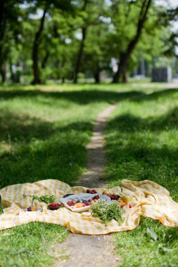 Park patikası yolunda piknik. Beyaz ahşap tepside taze meyve ve fındıklı tart.