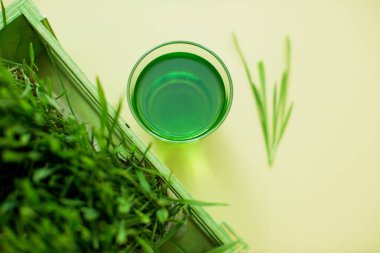 Yeşil organik buğday suyu ve yeşil ahşap kutunun içindeki yeşil çimen sarı arka planda.