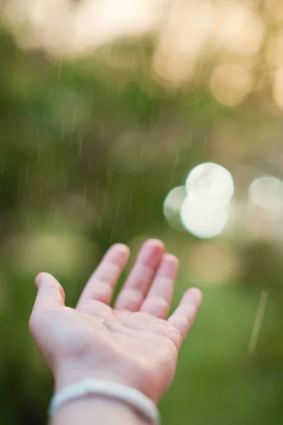 Woman Hand Catch Rain Drops Rain Background — Stock Photo, Image