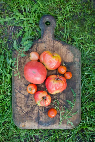 Świeże Dojrzałe Pomidory Drewnianej Desce Krojenia — Zdjęcie stockowe