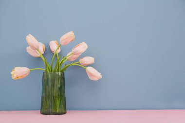 Mavi arka planda yeşil vazoda pembe laleler.