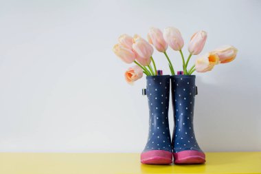 Beyaz arka planda mavi lastik çizmeli pembe laleler.