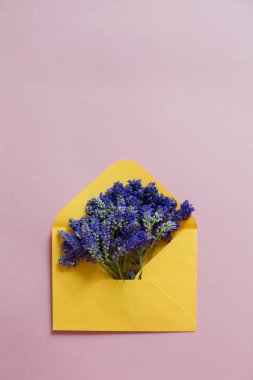 Pembe arka planda mor Veronica çiçekli sarı zarf.