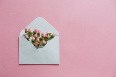 Pembe arka planda hiperikum çilekleri olan nane rengi bir zarf.