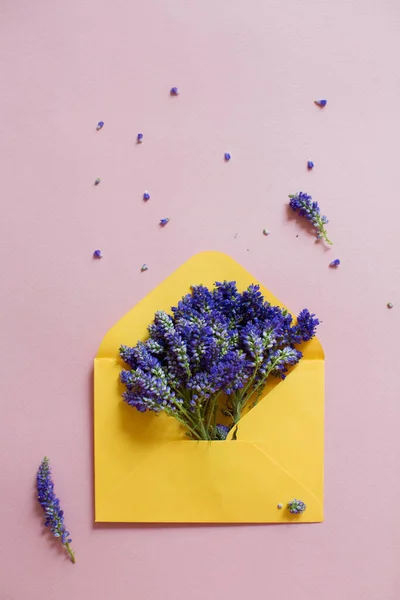 Желтый Конверт Фиолетовым Цветом Вероники Внутри Розовом Фоне — стоковое фото
