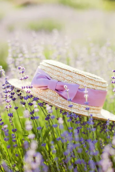 Straw hat with purple ribbon and bow laying on purple lavender flowers