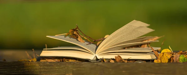 秋の公園の木製のベンチで本を開きます。平和のうちにある — ストック写真